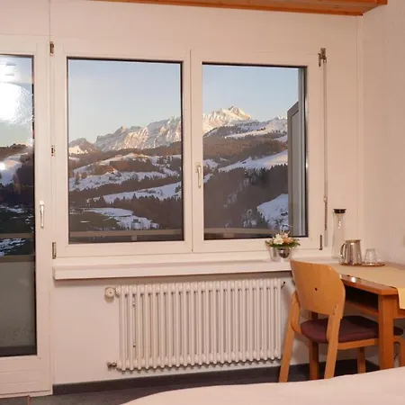 Swiss Views