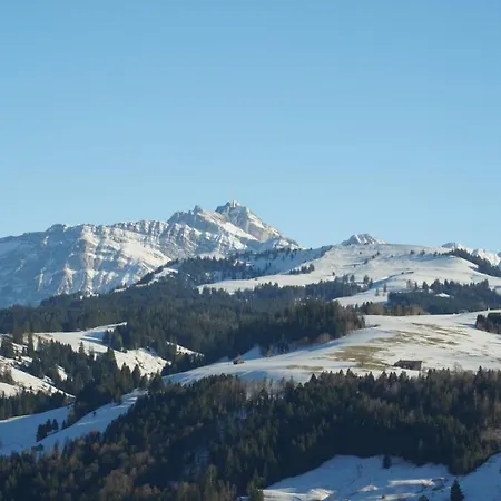 Swiss Views *