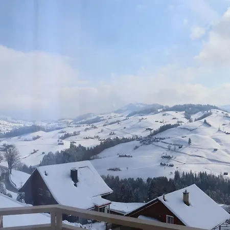 Swiss Views فندق