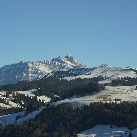 Swiss Views מלון *