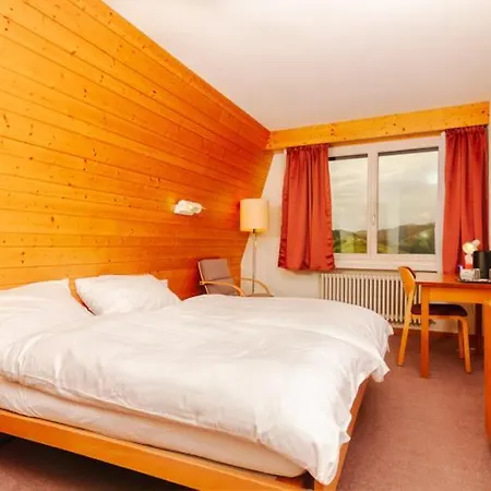 Swiss Views מלון *