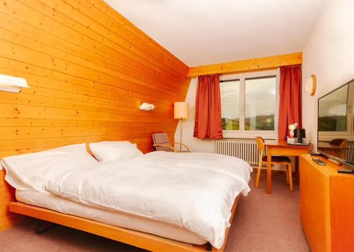 Swiss Views فندق *