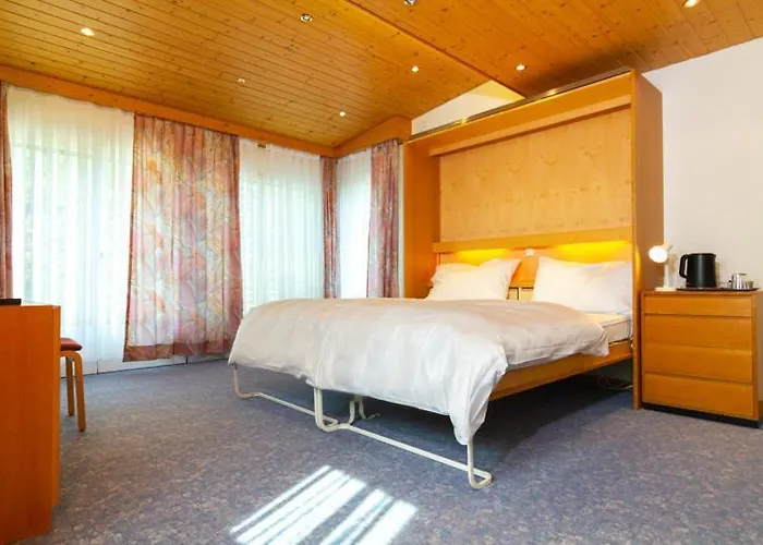 Swiss Views فندق *